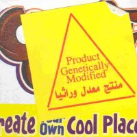 IMG_1155 • محمد باحارث